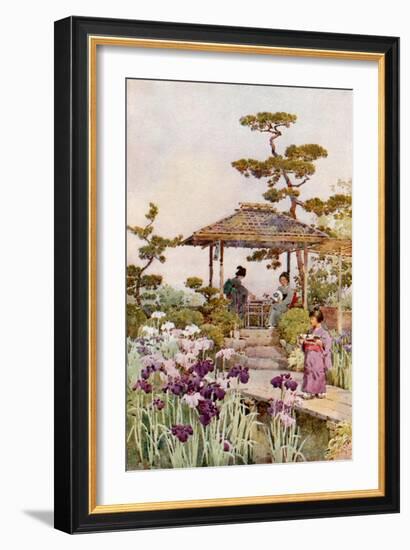 An Iris Garden-Ella Du Cane-Framed Giclee Print