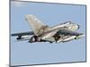 An Italian Air Force Panavia Tornado ECR-Stocktrek Images-Mounted Photographic Print