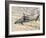 An Italian Army AW-129 Mangusta over Afghanistan-Stocktrek Images-Framed Photographic Print