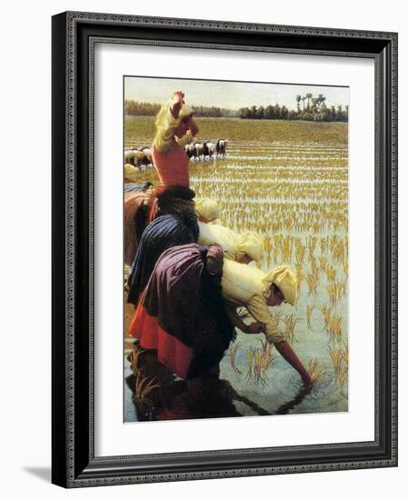 An Italian Rice Field, 1901-Angelo Morbelli-Framed Giclee Print