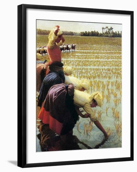 An Italian Rice Field, 1901-Angelo Morbelli-Framed Giclee Print