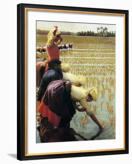 An Italian Rice Field, 1901-Angelo Morbelli-Framed Giclee Print