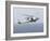 An Mh-60R Sea Hawk Helicopter Prepares to Land-null-Framed Photographic Print