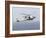 An Mh-60R Sea Hawk Helicopter Prepares to Land-null-Framed Photographic Print