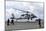 An Mh-60S Sea Hawk Lands on the Flight Deck of USS John C. Stennis-null-Mounted Photographic Print