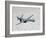 An MQ-9 Reaper Flies a Training Mission Over Southern New Mexico-Stocktrek Images-Framed Photographic Print