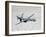 An MQ-9 Reaper Flies a Training Mission Over Southern New Mexico-Stocktrek Images-Framed Photographic Print