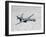 An MQ-9 Reaper Flies a Training Mission Over Southern New Mexico-Stocktrek Images-Framed Photographic Print