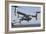 An MV-22 Osprey Takes Off from the Amphibious Assault Ship USS Kearsarge-null-Framed Photographic Print