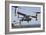 An MV-22 Osprey Takes Off from the Amphibious Assault Ship USS Kearsarge-null-Framed Photographic Print