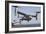 An MV-22 Osprey Takes Off from the Amphibious Assault Ship USS Kearsarge-null-Framed Photographic Print