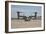 An MV-22 Osprey Taxiing at Marine Corps Air Station Miramar-null-Framed Photographic Print