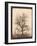 An Oak Tree in Winter by William Henry Fox Talbot-Fine Art-Framed Photographic Print