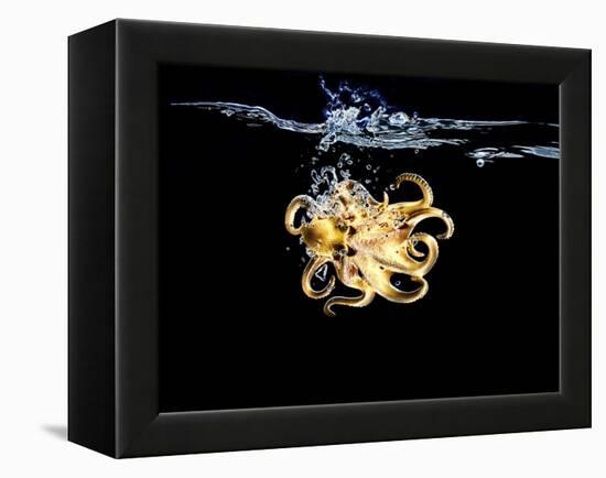 An Octopus in Water-Hermann Mock-Framed Premier Image Canvas