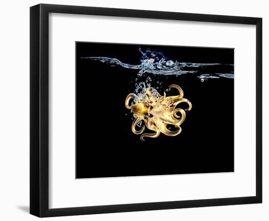 An Octopus in Water-Hermann Mock-Framed Photographic Print