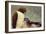 An Odd Couple-James W Johnson-Framed Giclee Print