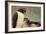 An Odd Couple-James W Johnson-Framed Giclee Print