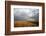 An off-road vehicle driving in the African savanna, Masai Mara Game Reserve, Kenya, East Africa, Af-null-Framed Photographic Print