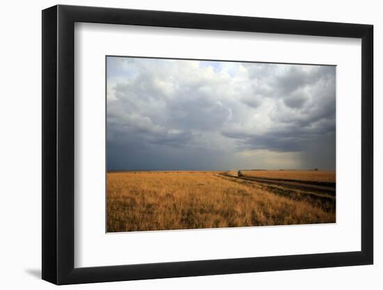 An off-road vehicle driving in the African savanna, Masai Mara Game Reserve, Kenya, East Africa, Af-null-Framed Photographic Print