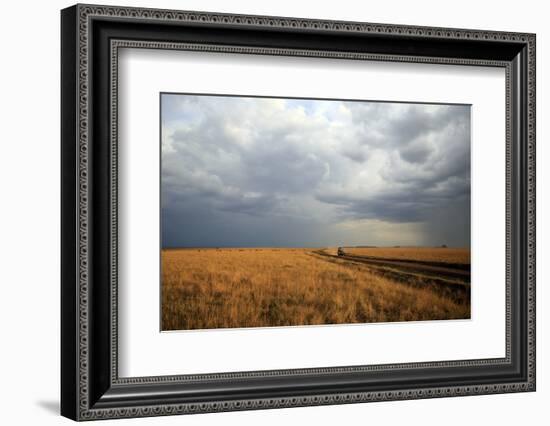 An off-road vehicle driving in the African savanna, Masai Mara Game Reserve, Kenya, East Africa, Af-null-Framed Photographic Print