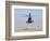 An Oh-58D Kiowa Warrior Hovers over the Flight Line at Camp Speicher, Iraq-null-Framed Photographic Print