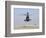 An Oh-58D Kiowa Warrior Hovers over the Flight Line at Camp Speicher, Iraq-null-Framed Photographic Print