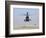 An Oh-58D Kiowa Warrior Hovers over the Flight Line at Camp Speicher, Iraq-null-Framed Photographic Print