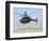 An Oh-58D Kiowa Warrior Hovers over the Flight Line at Camp Speicher, Iraq-null-Framed Photographic Print