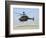 An Oh-58D Kiowa Warrior Hovers over the Flight Line at Camp Speicher, Iraq-null-Framed Photographic Print