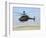 An Oh-58D Kiowa Warrior Hovers over the Flight Line at Camp Speicher, Iraq-null-Framed Photographic Print