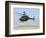 An Oh-58D Kiowa Warrior Hovers over the Flight Line at Camp Speicher, Iraq-null-Framed Photographic Print