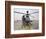 An Oh-58D Kiowa Warrior Pilot Stands Beside His Aircraft-null-Framed Photographic Print