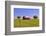 An Old Barn Painted with a Texas Flag near Waco Texas-Hundley Photography-Framed Photographic Print