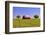 An Old Barn Painted with a Texas Flag near Waco Texas-Hundley Photography-Framed Photographic Print