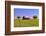 An Old Barn Painted with a Texas Flag near Waco Texas-Hundley Photography-Framed Photographic Print