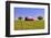 An Old Barn Painted with a Texas Flag near Waco Texas-Hundley Photography-Framed Photographic Print