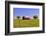 An Old Barn Painted with a Texas Flag near Waco Texas-Hundley Photography-Framed Photographic Print