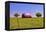 An Old Barn Painted with a Texas Flag near Waco Texas-Hundley Photography-Framed Premier Image Canvas