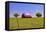 An Old Barn Painted with a Texas Flag near Waco Texas-Hundley Photography-Framed Premier Image Canvas