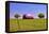 An Old Barn Painted with a Texas Flag near Waco Texas-Hundley Photography-Framed Premier Image Canvas