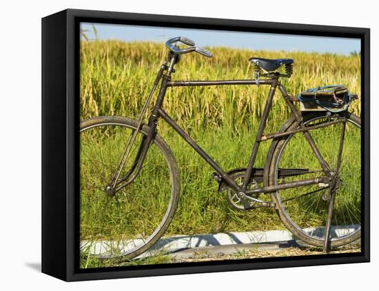 An Old Bicycle Along the Road in the Rice Patties of Ubud, Bali, Indonesia-Micah Wright-Framed Premier Image Canvas