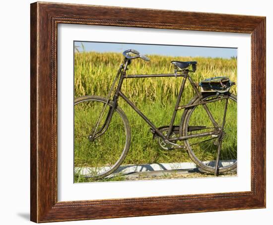 An Old Bicycle Along the Road in the Rice Patties of Ubud, Bali, Indonesia-Micah Wright-Framed Photographic Print