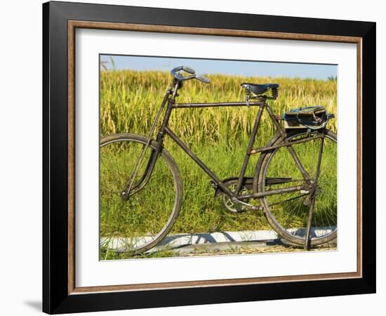 An Old Bicycle Along the Road in the Rice Patties of Ubud, Bali, Indonesia-Micah Wright-Framed Photographic Print