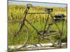 An Old Bicycle Along the Road in the Rice Patties of Ubud, Bali, Indonesia-Micah Wright-Mounted Photographic Print