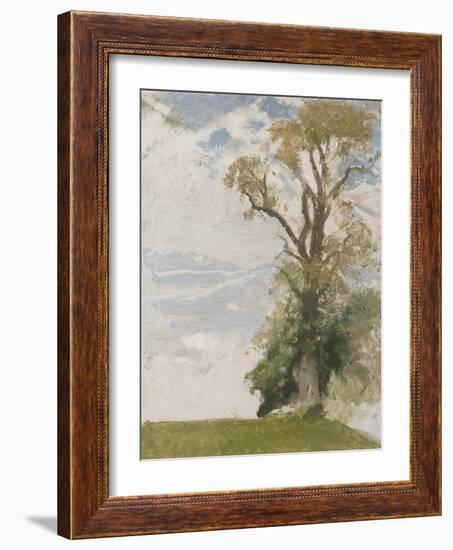 An Old Elm, Blewbury, Berkshire, 1946 (Oil on Board)-William Nicholson-Framed Giclee Print
