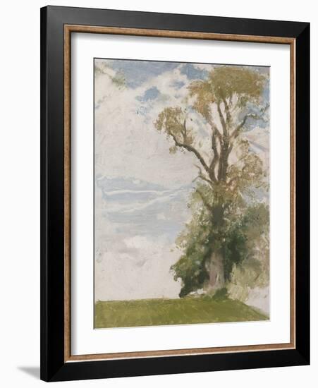 An Old Elm, Blewbury, Berkshire, 1946 (Oil on Board)-William Nicholson-Framed Giclee Print