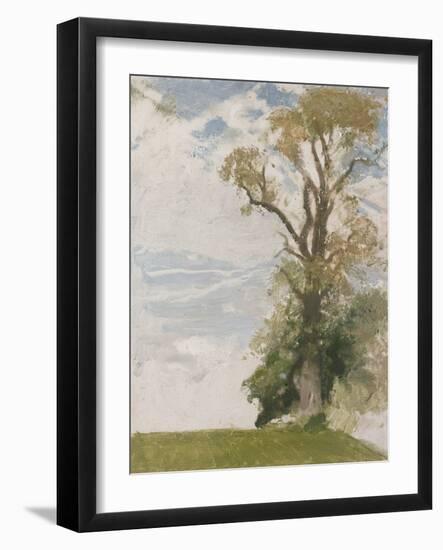 An Old Elm, Blewbury, Berkshire, 1946 (Oil on Board)-William Nicholson-Framed Giclee Print