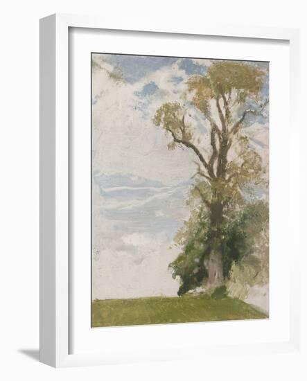 An Old Elm, Blewbury, Berkshire, 1946 (Oil on Board)-William Nicholson-Framed Giclee Print