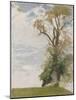 An Old Elm, Blewbury, Berkshire, 1946 (Oil on Board)-William Nicholson-Mounted Giclee Print