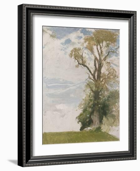 An Old Elm, Blewbury, Berkshire, 1946 (Oil on Board)-William Nicholson-Framed Giclee Print